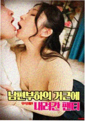 纲手同人漫画百豪之约封面